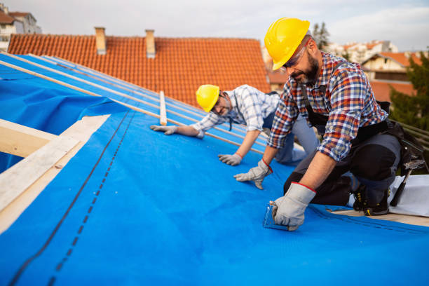 Best Metal Roofing Contractor  in Rainbow, CA